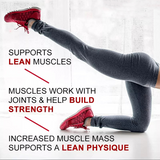 Protein Powder